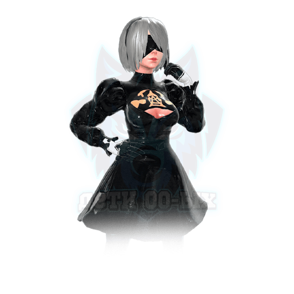 2B Nier / 1 день