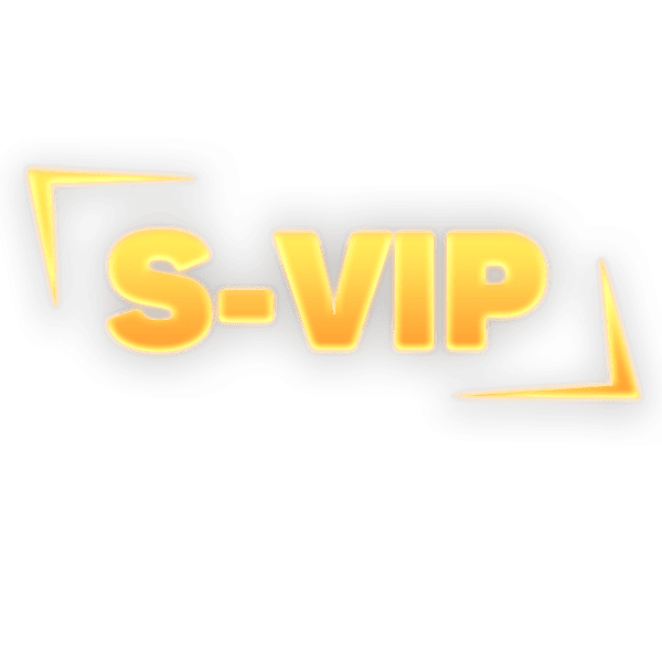 S-VIP / 1 день Привилегия