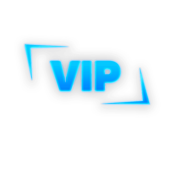 VIP / 3 дня Привилегия